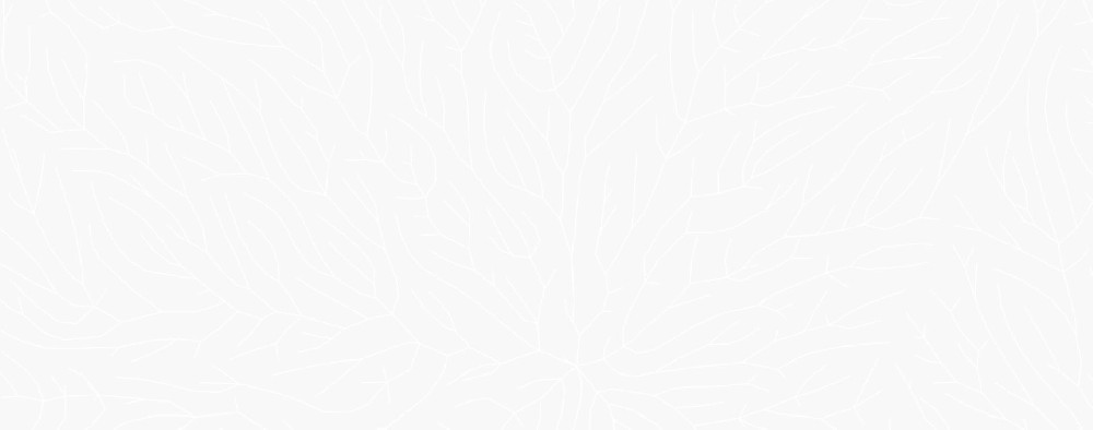 shape-img